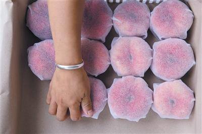 直播|平谷桃农做直播当网红卖桃实现增收