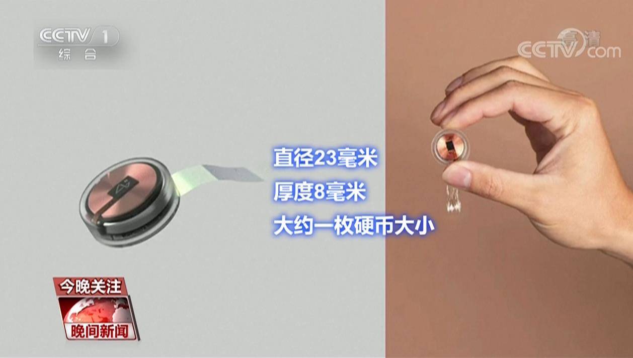 试验|活猪脑机接口试验成功！脑机交互 离我们不远了吗？