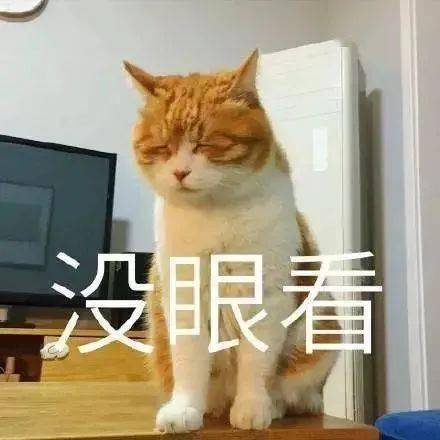 a74c9c4803e4486ab1b2109369f6544a.jpeg