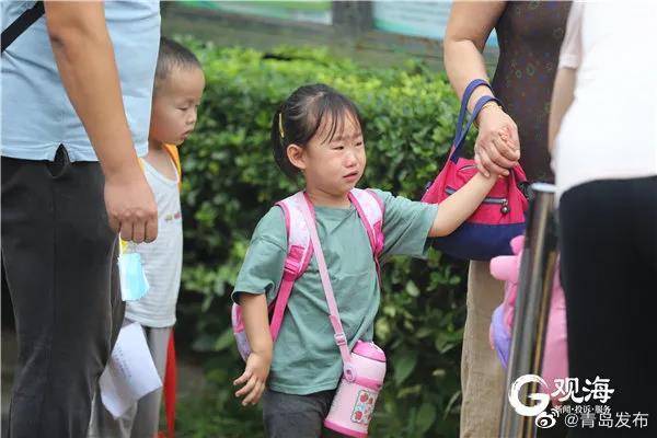青岛市|有一种快乐，叫做孩子们终于 开学 了！