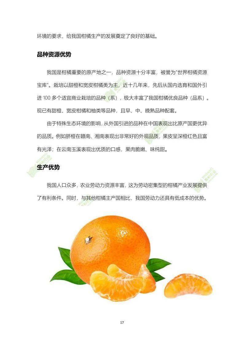 橙的种植与管理技术 ddcfce63aa0f479aac13c57025f4a3a0.jpeg