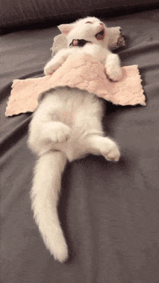 320_569 竖版 竖屏