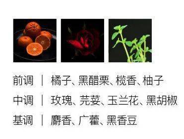 Harris|拒绝撞香！这些小众香水高级又浪漫
