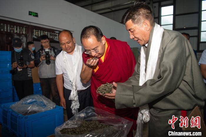 何蓬磊|在喜马拉雅山脉南麓墨脱，班禅与茶场负责人的一场对话