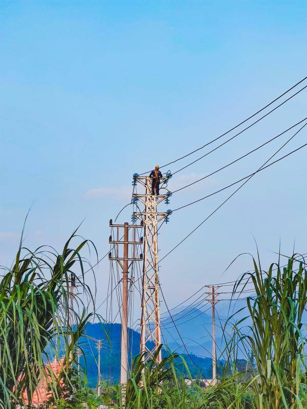 供电|?护航开学季 供电部门为校园添动力