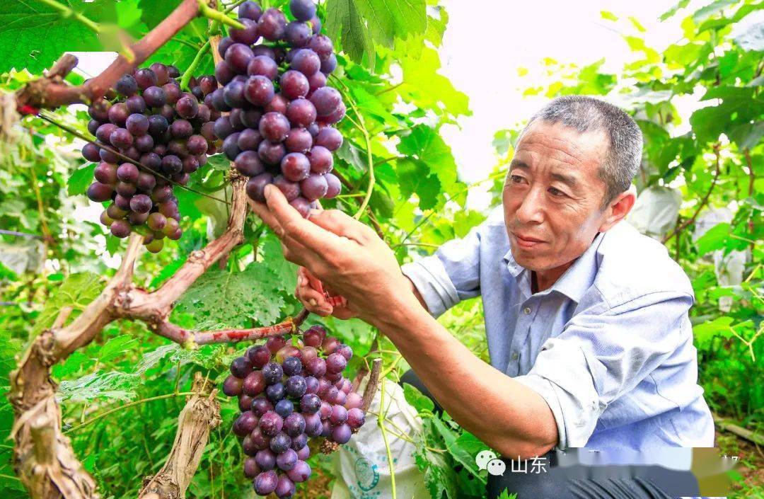 九个月宝宝吃什么水果好 8e18e9c167db4bfe93ca1ef8754b4925.jpeg