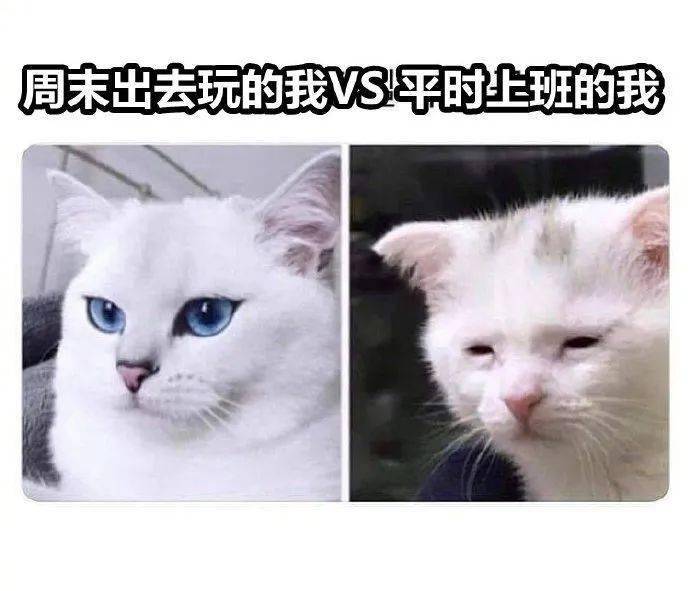 强肤光|美人计 | 女生见人才化妆（ps . 同事除外）