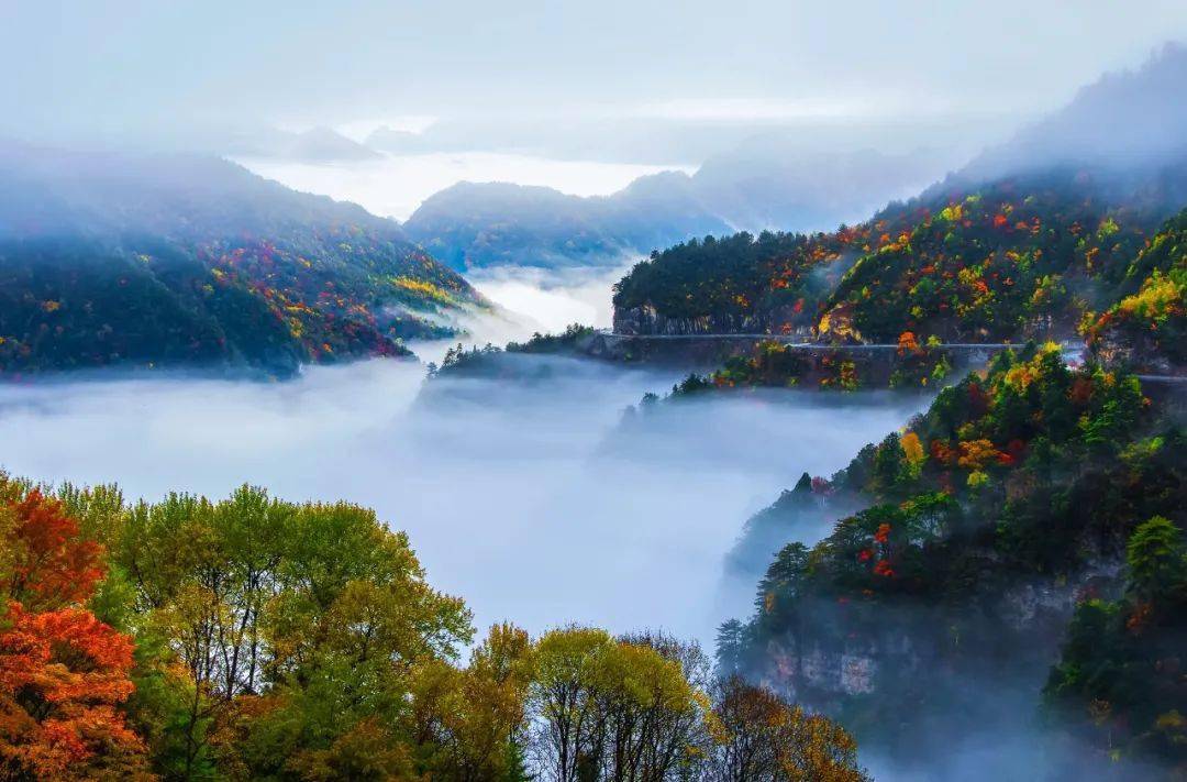 区县文旅精品荟丨巴山原乡 生态城口_城口县