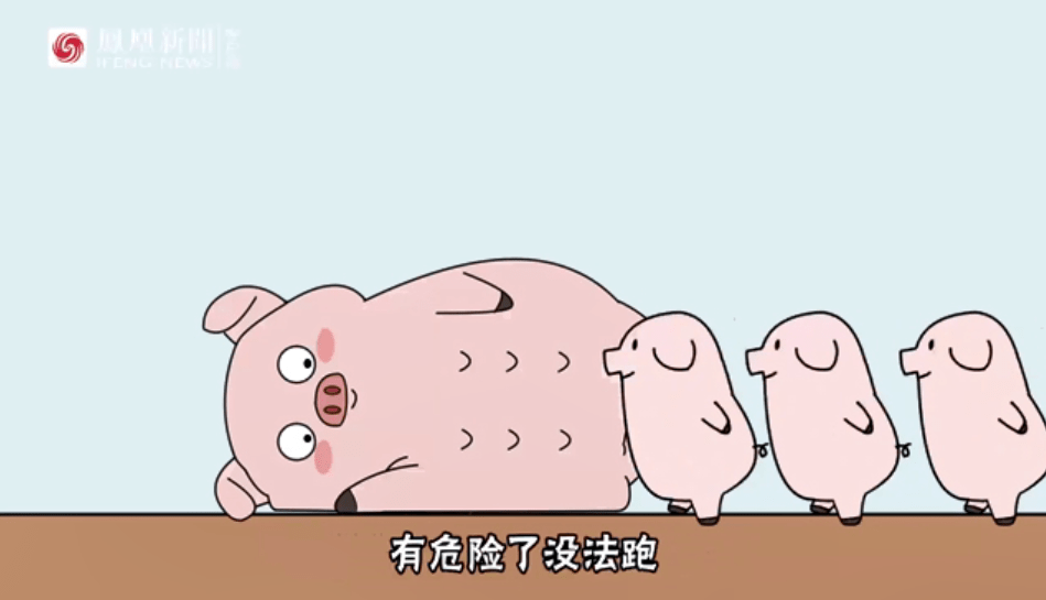 1da9e614c4c9414c80eb03b874517f4b.png