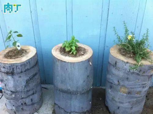 个性创意十足的花盆diy手工制作图片