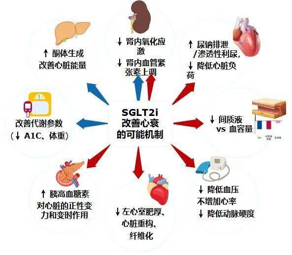 当一切越来越明朗,论sglt2抑制剂的心衰获益