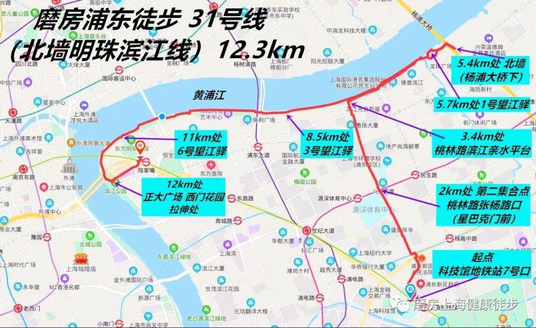 磨房浦东徒步(第836期指路帖):北墙明珠滨江线 12.3km