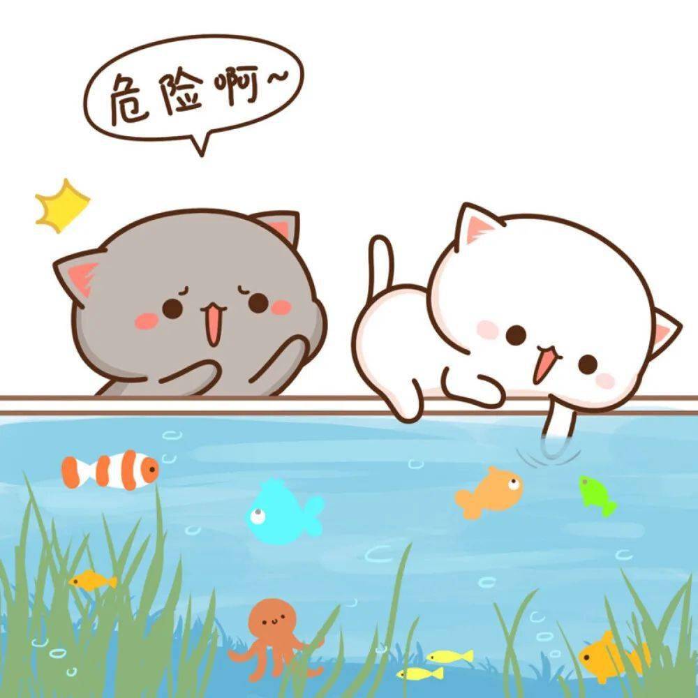 【微信头像】蜜桃猫情头