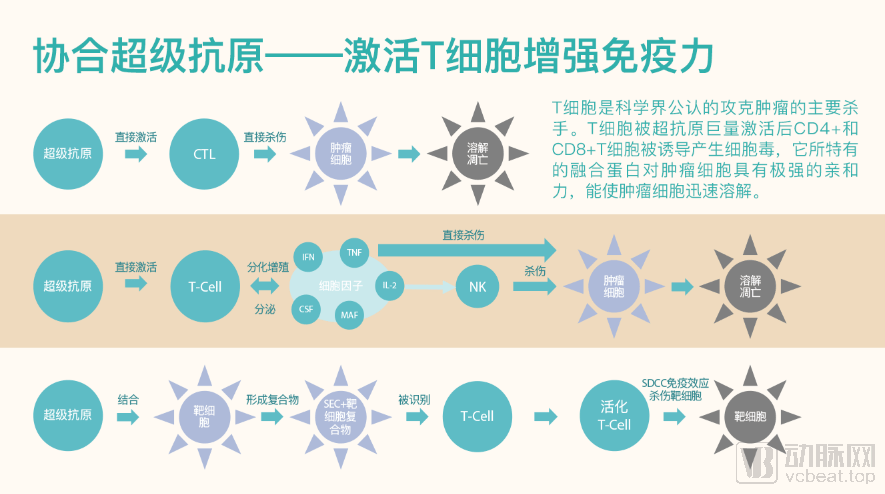 超级抗原是何物?从i类新药到增强免疫保健品,探寻协合