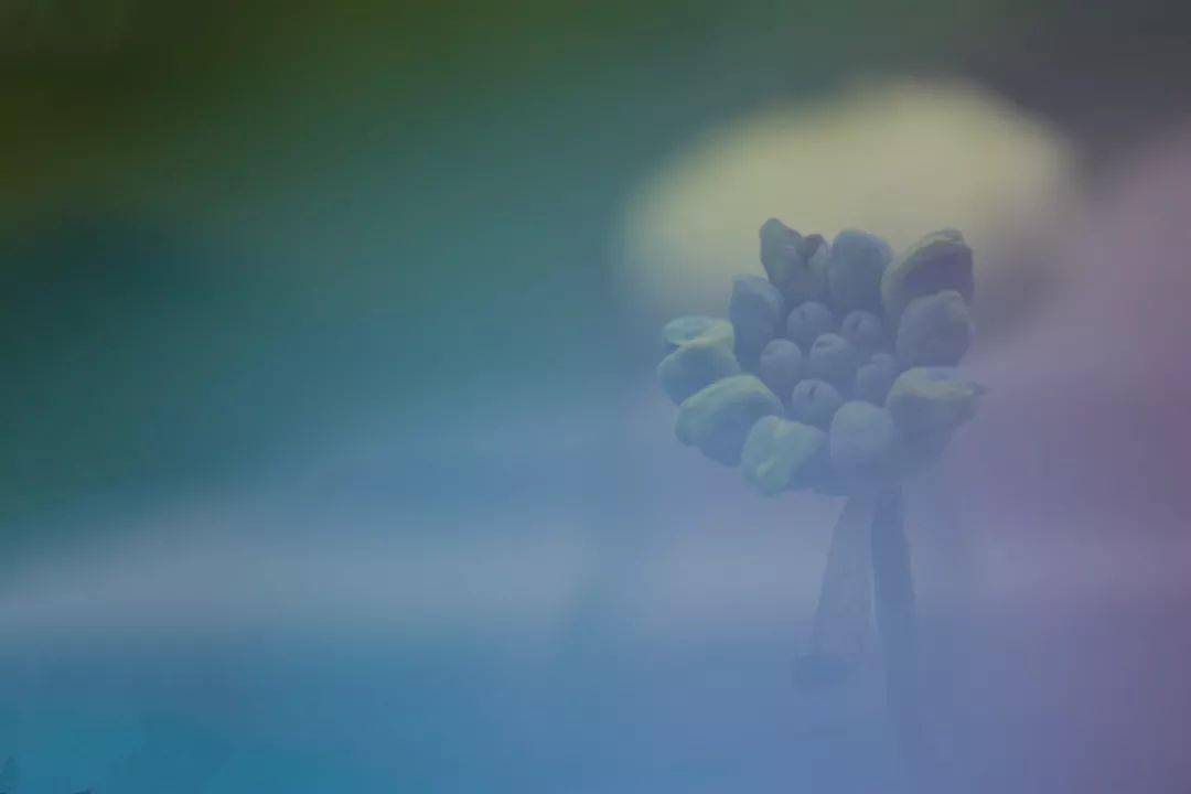 e12660b61990451cae6d278d99a97788.jpeg