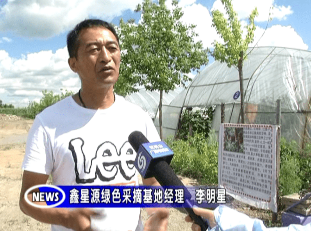 鑫星源绿色采摘基地经理 李明星