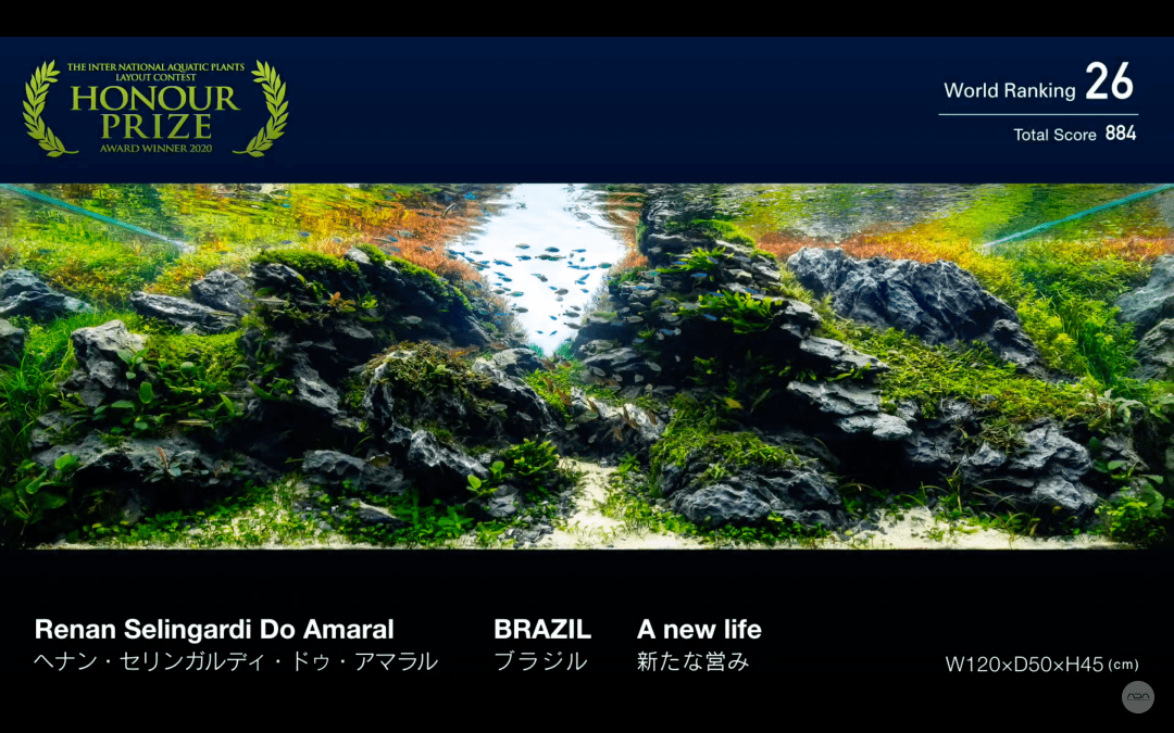 全网首发iaplc世界水草造景大赛作品正式公布