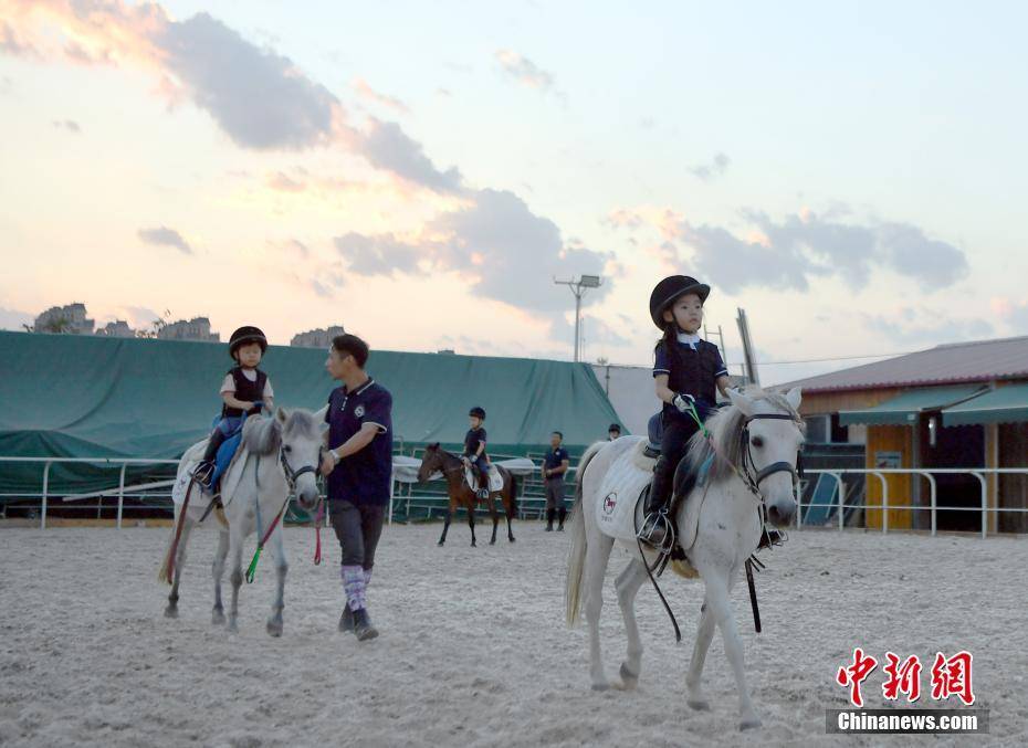 河北省|河北省各种课外培训机构陆续复工