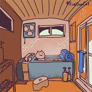 【沙雕猫表情包】纸片猫动图表情包