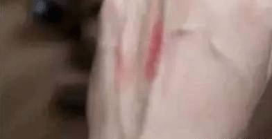1114de6e804b44e981ebaba09dbb0813.png