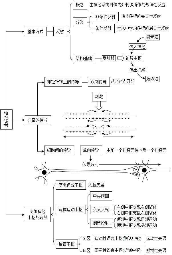 高中生物一轮复习最全生命活动调节知识结构图赶快收藏