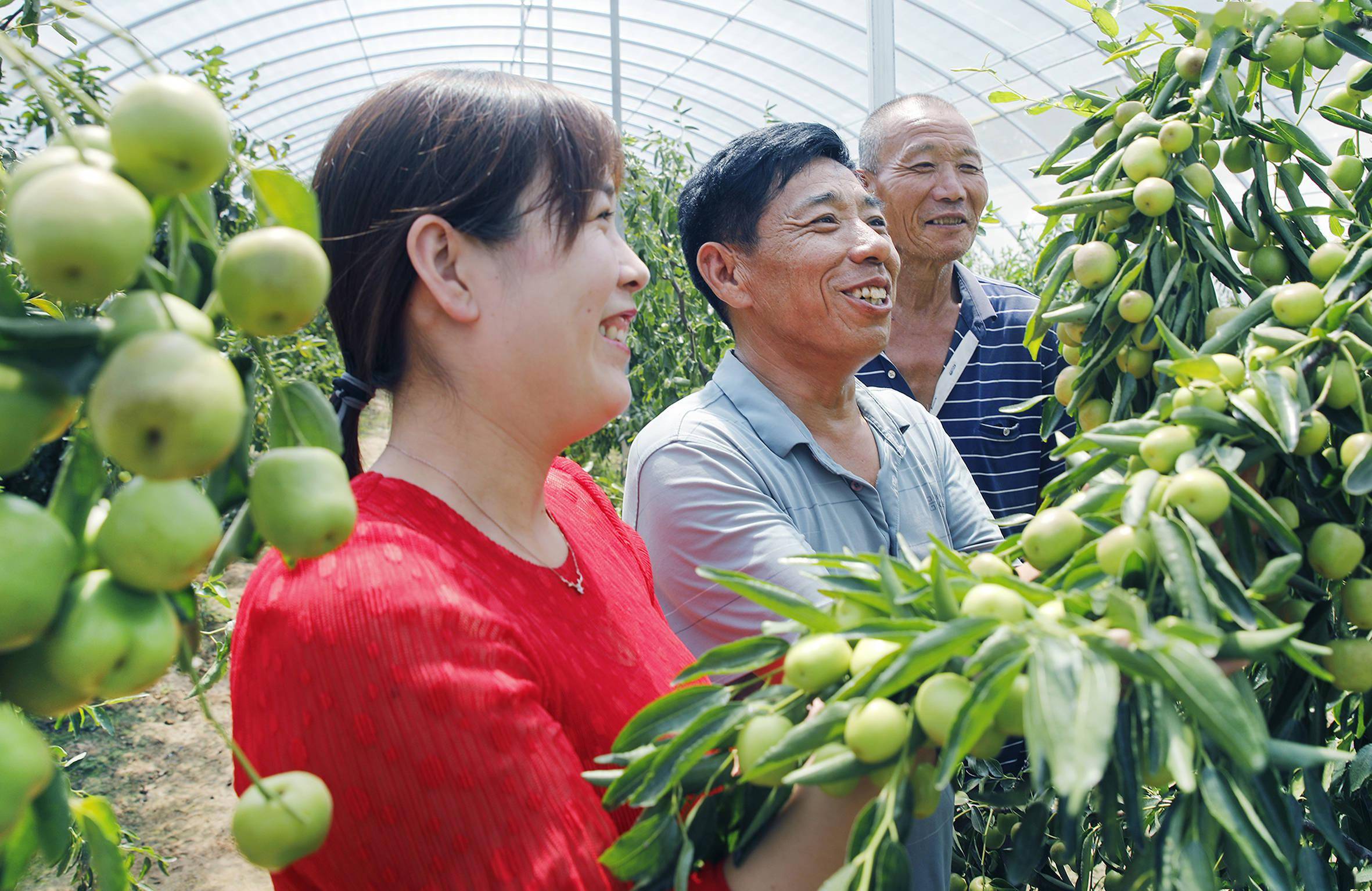 特色农业助农富丨大美中国·小康印记_尉氏县