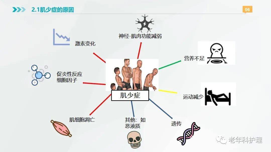 【ppt】肌少症患者的自我筛查和管理