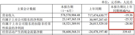 4年|沪光股份4年收到现金逊营收 流动负债高上半年业绩降