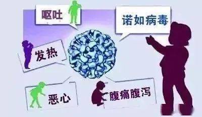 fbc305a75f424bc1b03db016eb259e6e.jpeg