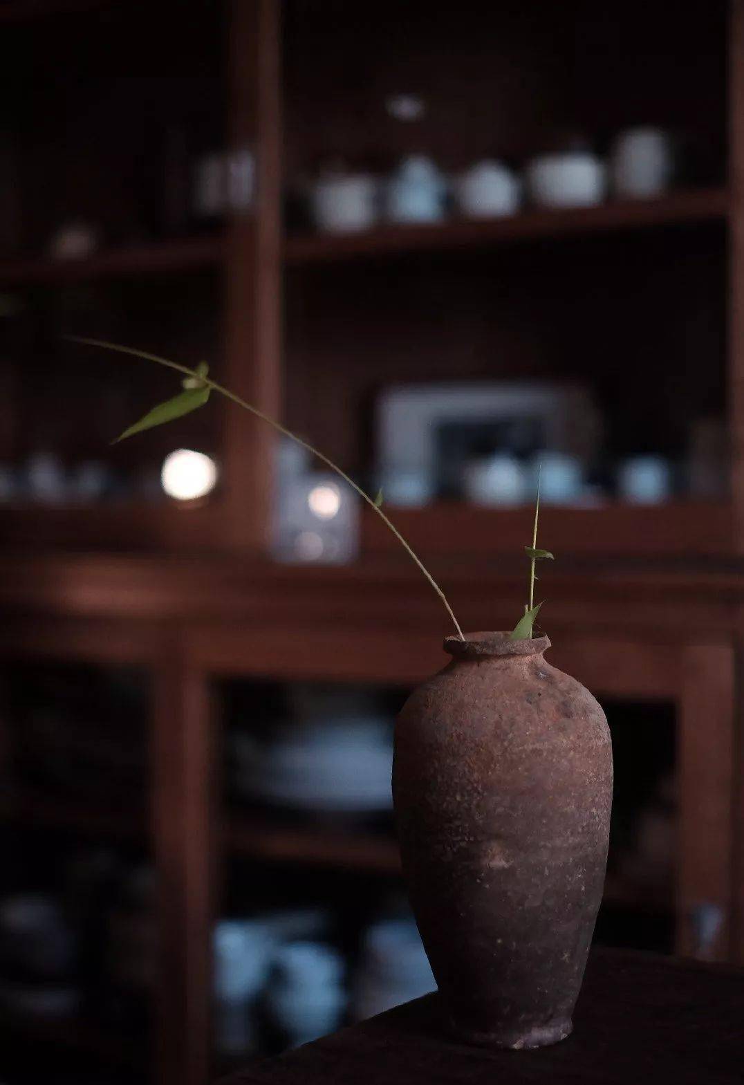 茶者,山野之物,淡泊轻逸