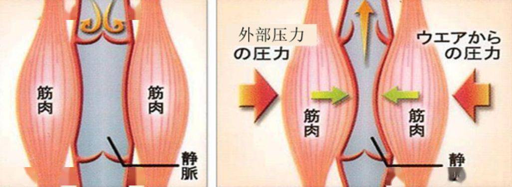 腿部|吴昕录制《乘风破浪的姐姐》都在用它,难怪万年小粗腿翻身成腿精!小腿细得像打了瘦腿针!