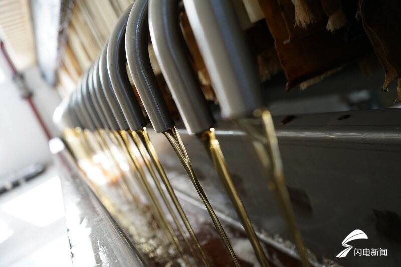 粮油|“道不尽齐鲁粮油好”走进青岛品品好：一家追求完美的粮油企业