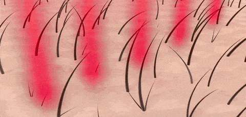 滋养液|32年才做成的育发液!让你挑战30天+生出小绒毛