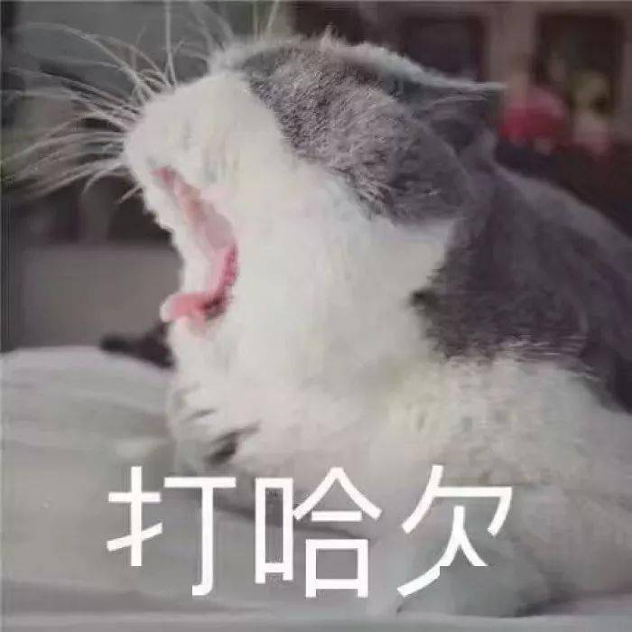 fcd0cb24b2474f21b4bf5fbb934b5f78.jpeg