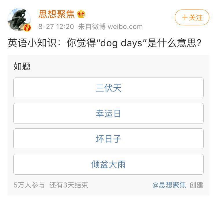 dog days 意思