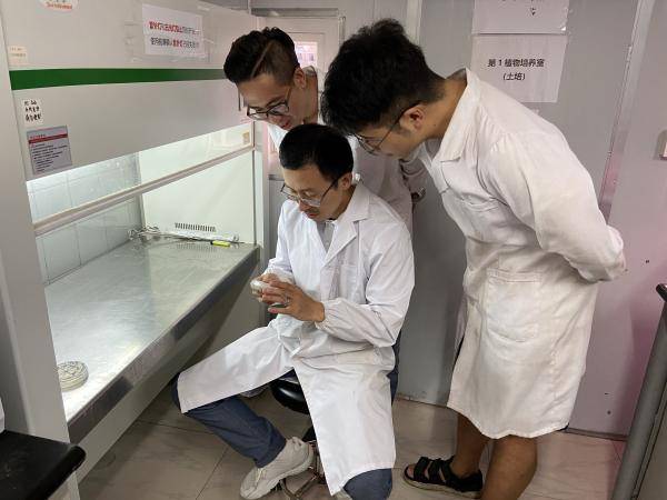 秸秆不许烧，还田又引发病害，怎么办？