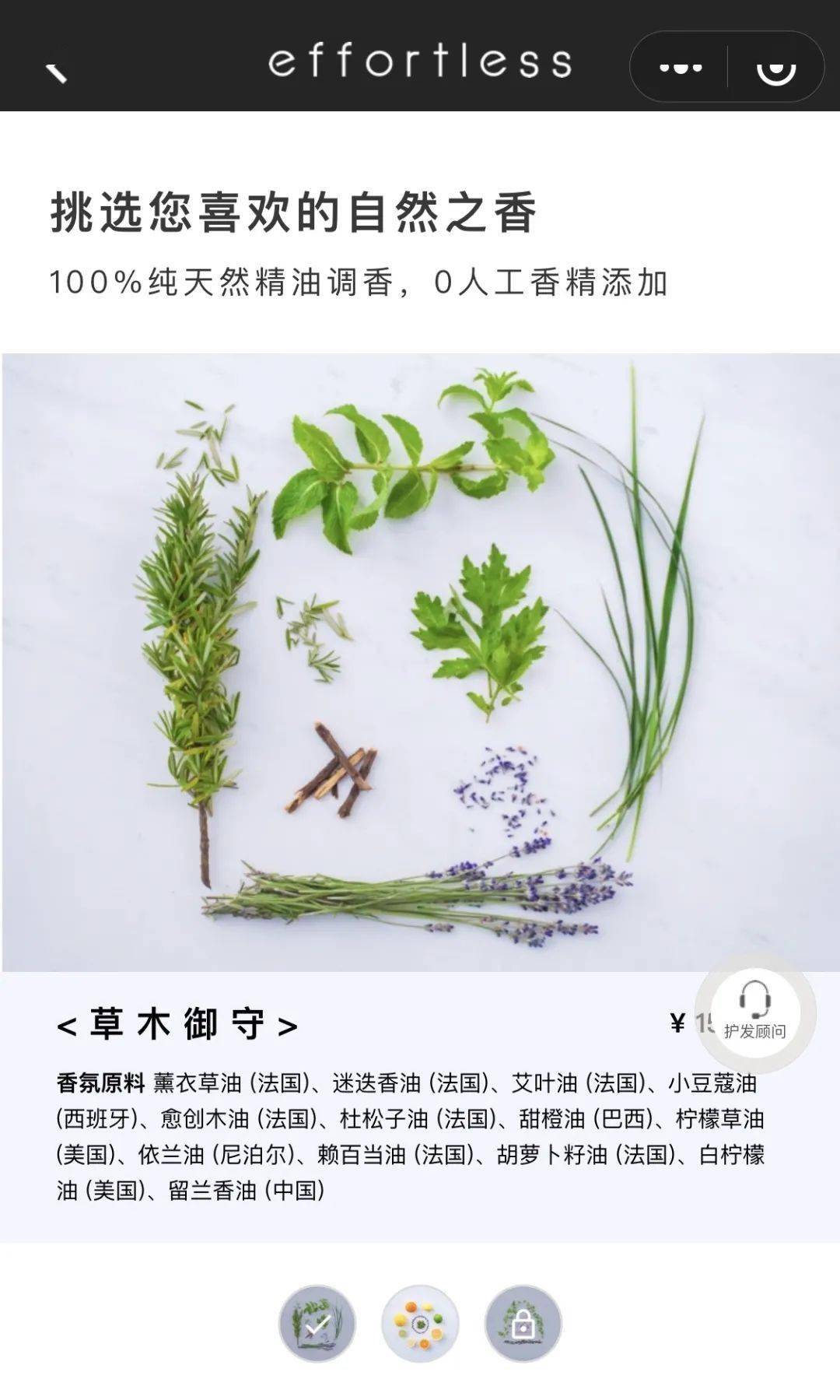 头皮|“我爱的秋天又来了”