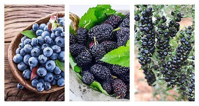 忻州|还有酸甜可口的山楂棒棒糖！超值39.9元丨老少孕妇都爱吃的忻州黑玉米返团