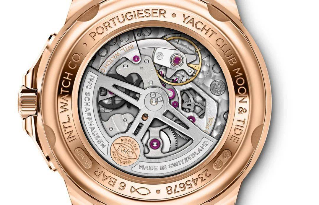 航海|上了万国的船就下不去了！