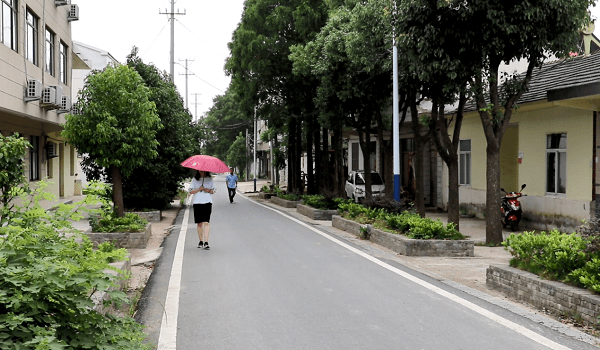 海村 这里的人们,忙碌而幸福 修建了老圣路,杨岗路,徐塘等水泥沥青道