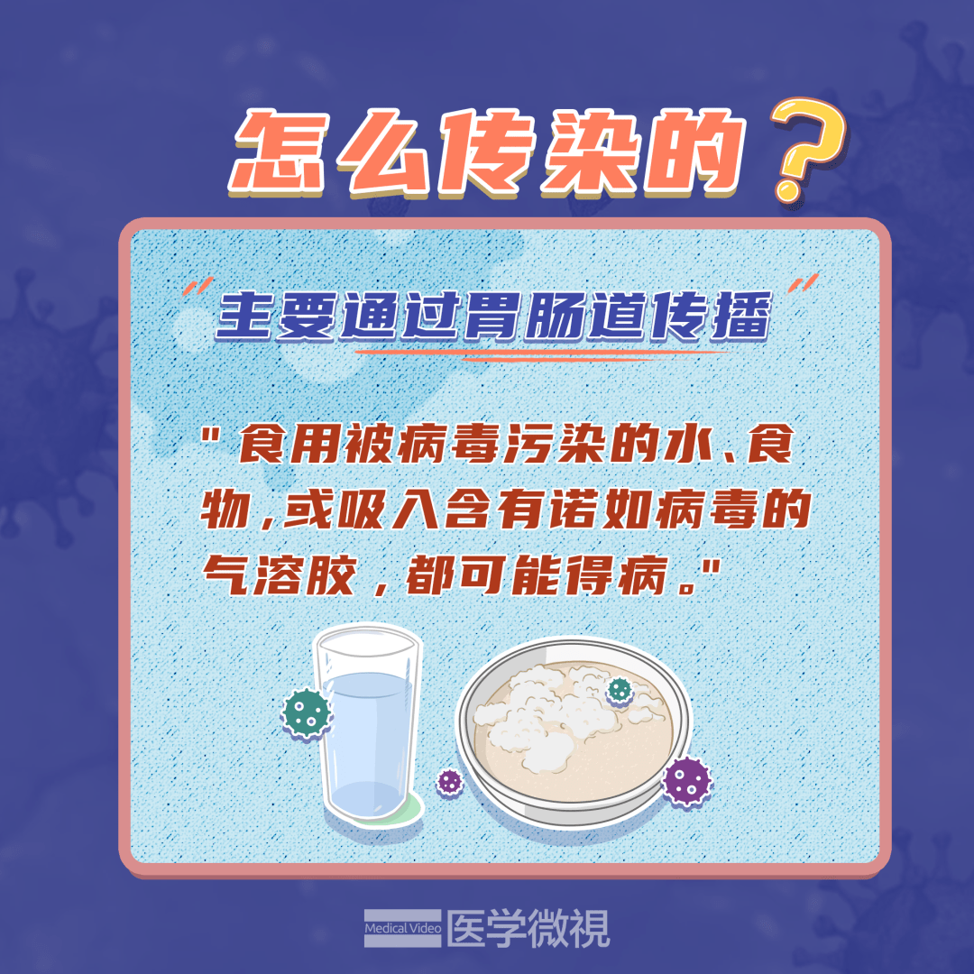 8454c4b8a1fe4c53bcfb0ab427a52638.png