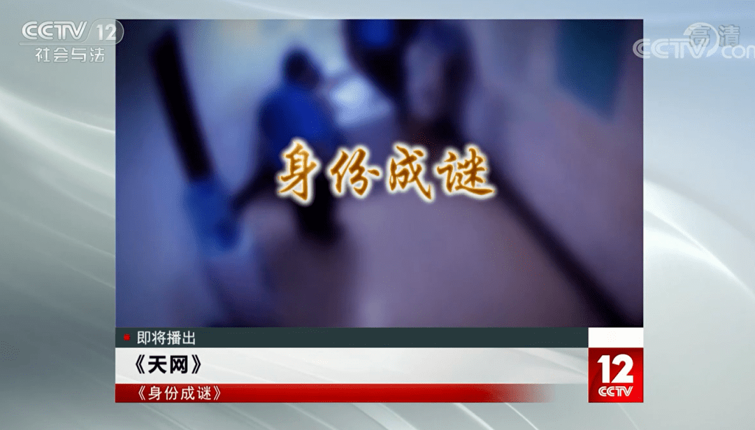 这两天,cctv12天网播出的一个案子把网友给看傻了,就.这都行?