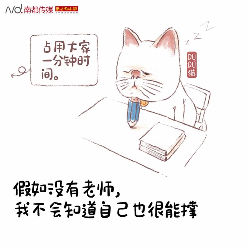 林军明|DUDU猫说教师节：假如没有老师……