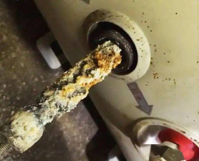 可以用什么代替加热棒 00a3abd827b54cbebac2a205438a782c.jpeg