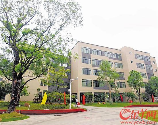 南城|东莞中学南城学校老师们收到教师节特别“礼物” 校园改造工程全面竣工