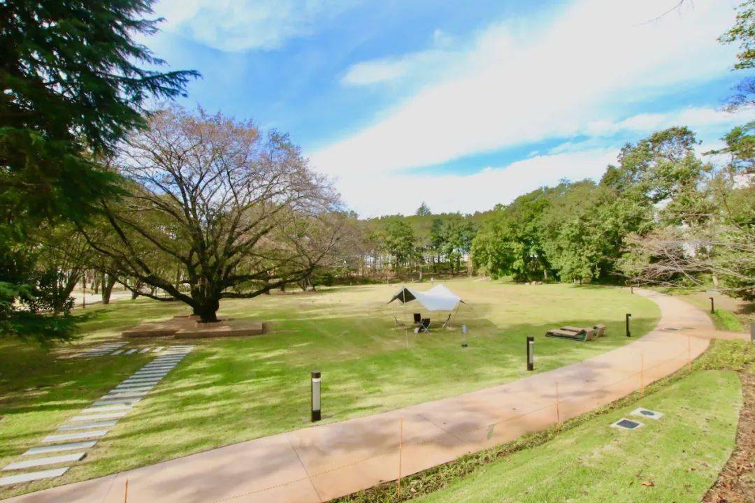 日本TOD的全新社区运营模式南町田Grandberry Park_商业