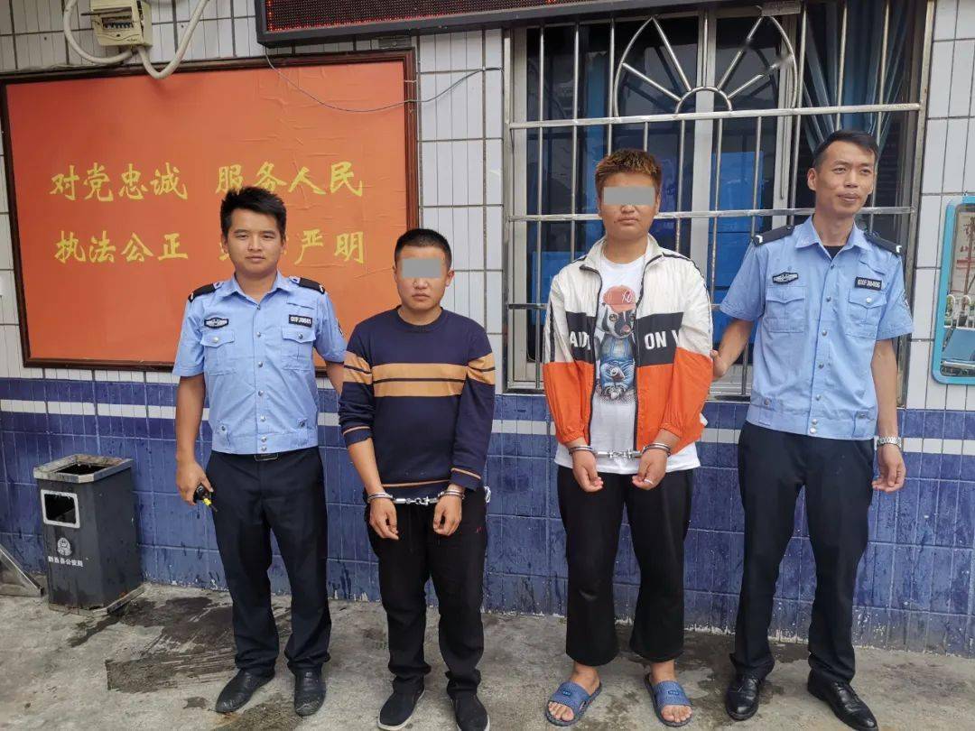 目前,犯罪嫌疑人王某某,王某已被依法处理,案件在进一步深挖办理中.
