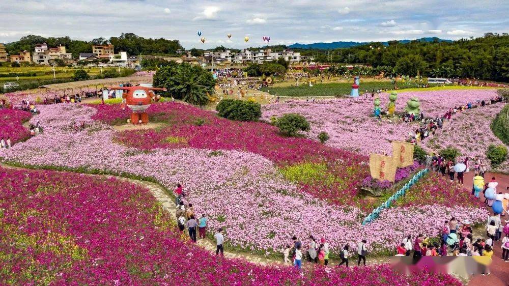 从化:盘活资源,让"后花园"升级为"国际会客厅"