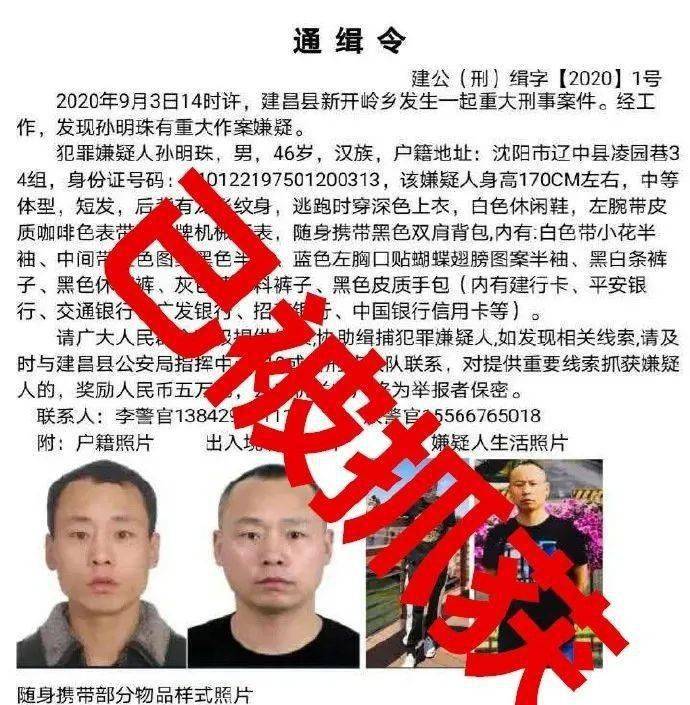 葫芦岛建昌县重大杀人案嫌犯已被抓获