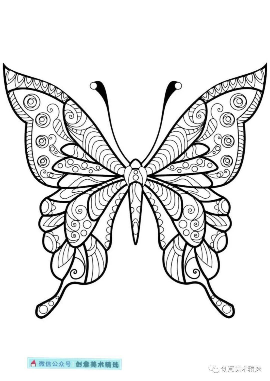 黑白线描临摹素材——漂亮的蝴蝶主题线描装饰画